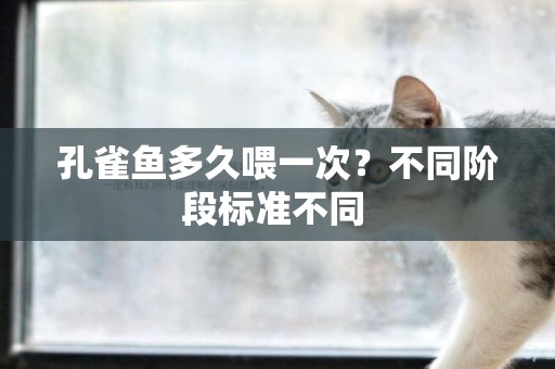 孔雀魚多久喂一次？不同階段標準不同 