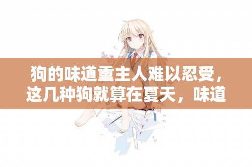 狗的味道重主人難以忍受，這幾種狗就算在夏天，味道也算比較輕