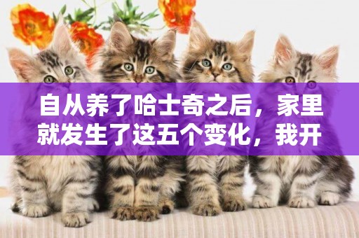 自從養了哈士奇之后，家里就發生了這五個變化，我開始有點后怕了