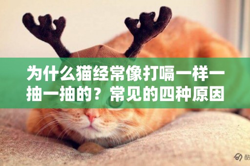 為什么貓經常像打嗝一樣一抽一抽的？常見的四種原因分析