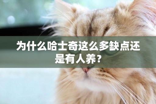 為什么哈士奇這么多缺點還是有人養？