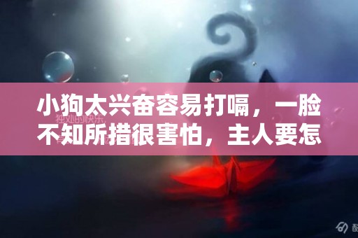 小狗太興奮容易打嗝，一臉不知所措很害怕，主人要怎么安撫？