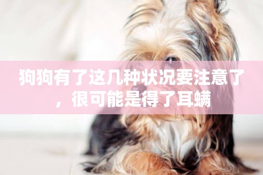 狗狗有了這幾種狀況要注意了，很可能是得了耳螨