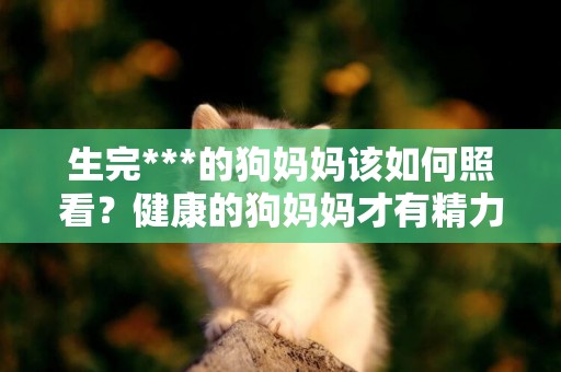 生完***的狗媽媽該如何照看？健康的狗媽媽才有精力照看好小狗狗