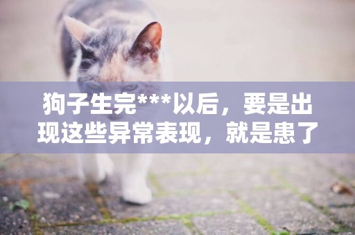 狗子生完***以后，要是出現這些異常表現，就是患了產后抑郁癥