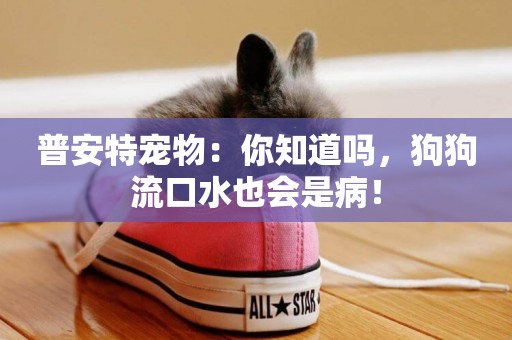 普安特寵物：你知道嗎，狗狗流口水也會是病！