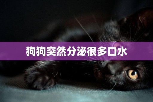 狗狗突然分泌很多口水