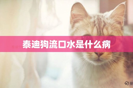 泰迪狗流口水是什么病
