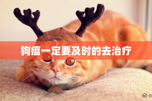 狗瘟一定要及時的去治療