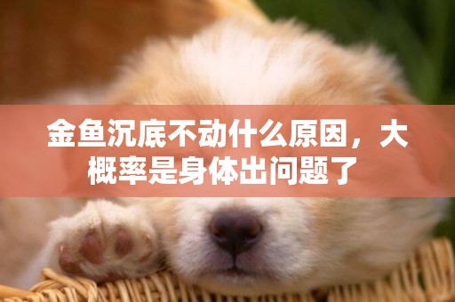 金魚沉底不動什么原因，大概率是身體出問題了 