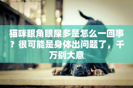 貓咪眼角眼屎多是怎么一回事？很可能是身體出問題了，千萬別大意