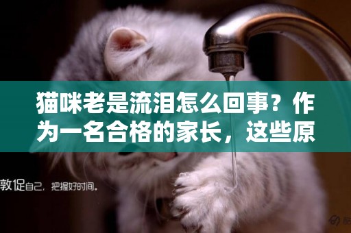 貓咪老是流淚怎么回事？作為一名合格的家長，這些原因要早知道！