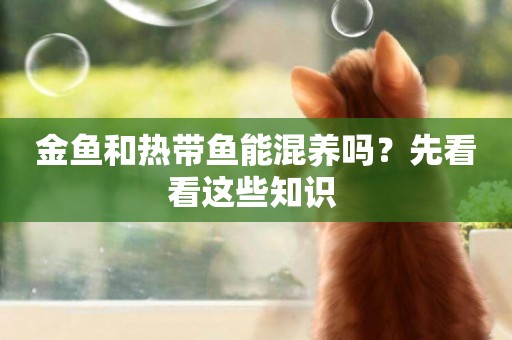 金魚和熱帶魚能混養嗎？先看看這些知識 
