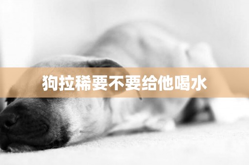 狗拉稀要不要給他喝水