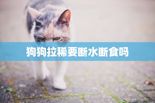 狗狗拉稀要斷水斷食嗎