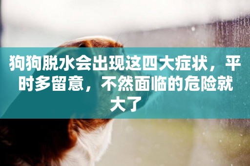 狗狗脫水會出現這四大癥狀，平時多留意，不然面臨的危險就大了