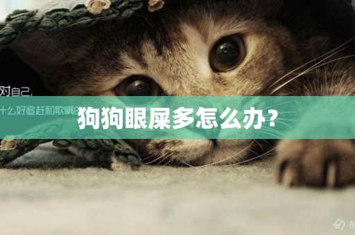 狗狗眼屎多怎么辦？