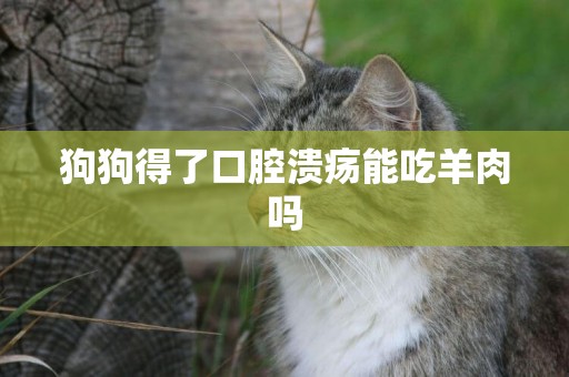 狗狗得了口腔潰瘍能吃羊肉嗎