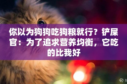 你以為狗狗吃狗糧就行？鏟屎官：為了追求營養均衡，它吃的比我好