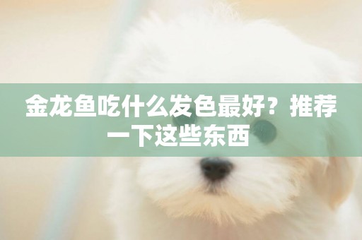 金龍魚吃什么發色最好？推薦一下這些東西 
