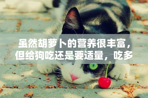 雖然胡蘿卜的營養很豐富，但給狗吃還是要適量，吃多了容易中毒