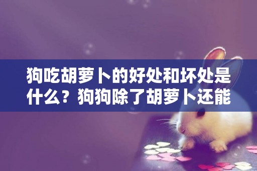 狗吃胡蘿卜的好處和壞處是什么？狗狗除了胡蘿卜還能吃哪些蔬菜？