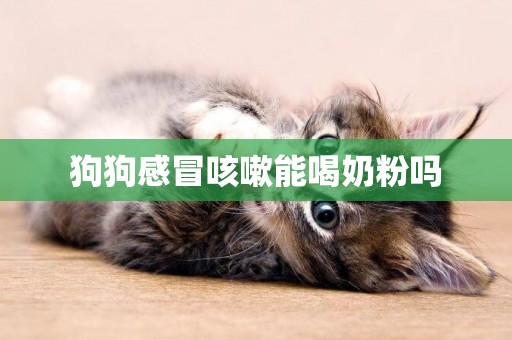 狗狗感冒咳嗽能喝奶粉嗎