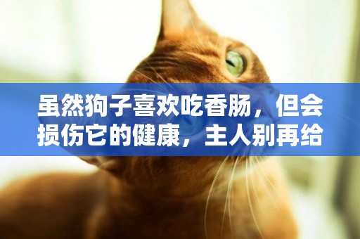 雖然狗子喜歡吃香腸，但會損傷它的健康，主人別再給它吃了