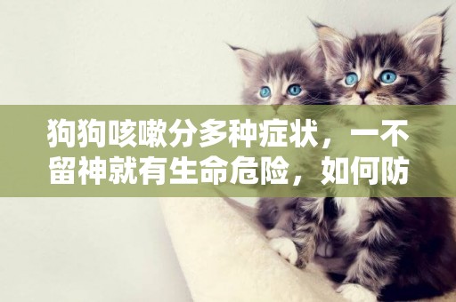 狗狗咳嗽分多種癥狀，一不留神就有生命危險，如何防范事情發生！