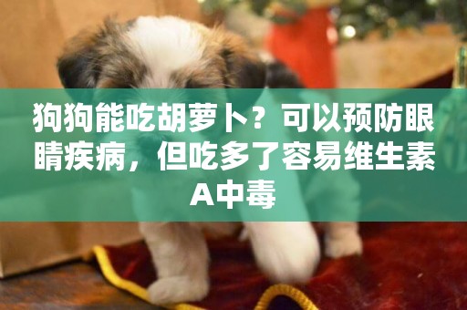狗狗能吃胡蘿卜？可以預防眼睛疾病，但吃多了容易維生素A中毒