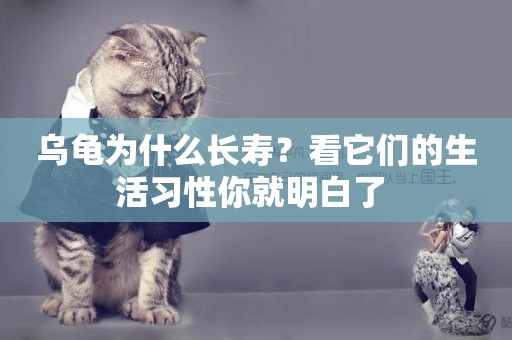 烏龜為什么長壽？看它們的生活習性你就明白了 