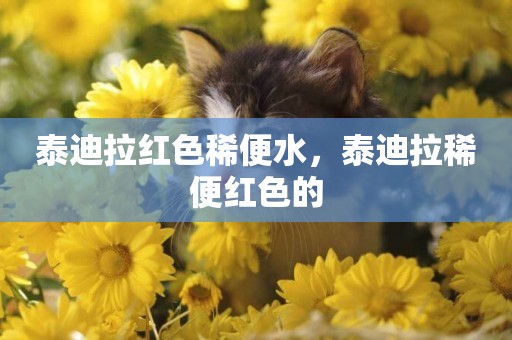 泰迪拉紅色稀便水，泰迪拉稀便紅色的