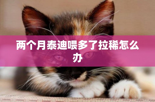 兩個月泰迪喂多了拉稀怎么辦