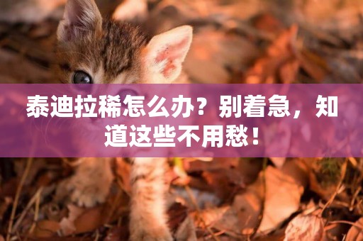 泰迪拉稀怎么辦？別著急，知道這些不用愁！