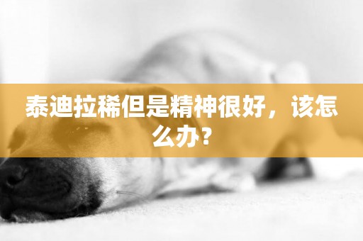 泰迪拉稀但是精神很好，該怎么辦？