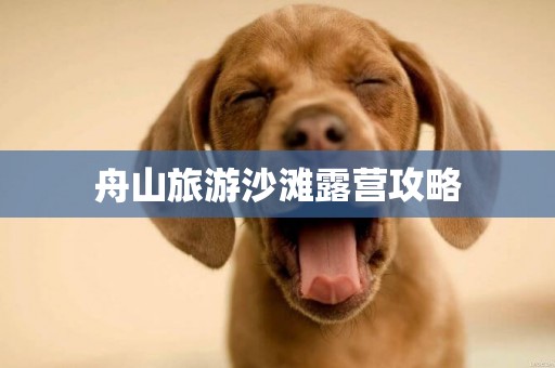 舟山旅游沙灘露營攻略