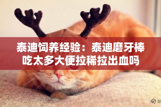 泰迪飼養經驗：泰迪磨牙棒吃太多大便拉稀拉出血嗎