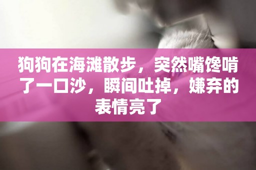 狗狗在海灘散步，突然嘴饞啃了一口沙，瞬間吐掉，嫌棄的表情亮了