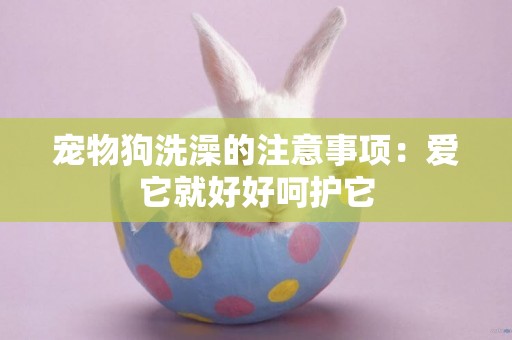 寵物狗洗澡的注意事項：愛它就好好呵護它