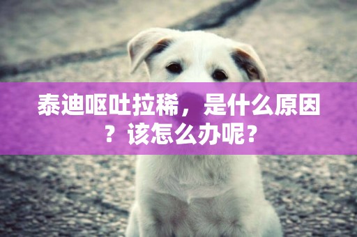泰迪嘔吐拉稀，是什么原因？該怎么辦呢？
