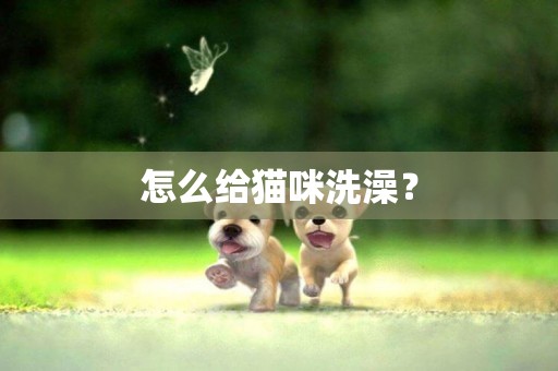 怎么給貓咪洗澡？