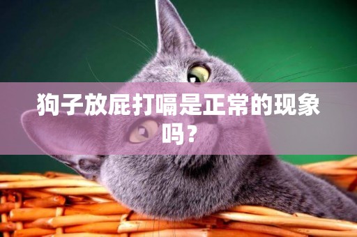 狗子放屁打嗝是正常的現象嗎？