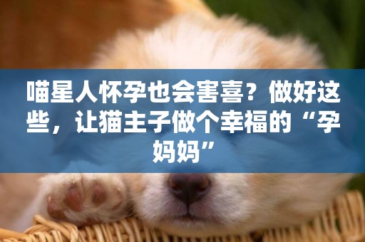 喵星人懷孕也會害喜？做好這些，讓貓主子做個幸福的“孕媽媽”