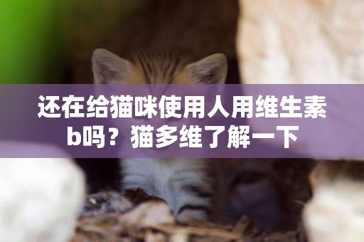 還在給貓咪使用人用維生素b嗎？貓多維了解一下
