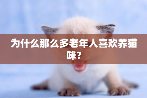 為什么那么多老年人喜歡養貓咪？