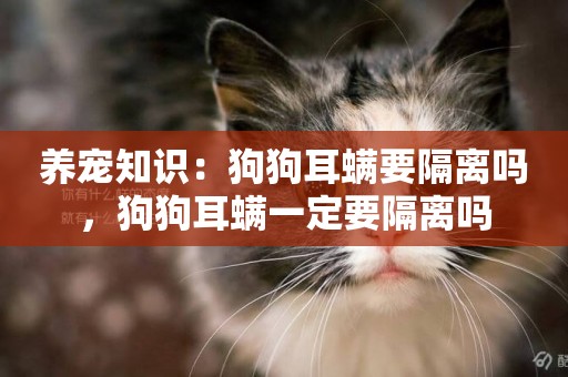 養寵知識：狗狗耳螨要隔離嗎，狗狗耳螨一定要隔離嗎
