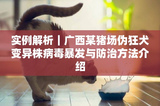 實例解析｜廣西某豬場偽狂犬變異株病毒暴發與防治方法介紹