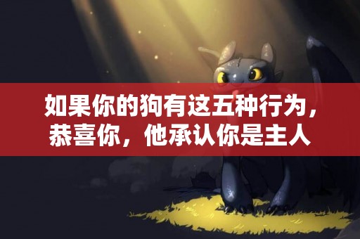 如果你的狗有這五種行為，恭喜你，他承認你是主人