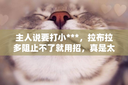 主人說要打小***，拉布拉多阻止不了就用招，真是太聰明了！