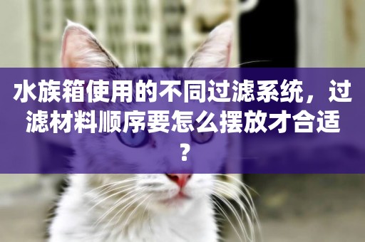 水族箱使用的不同過濾系統，過濾材料順序要怎么擺放才合適？